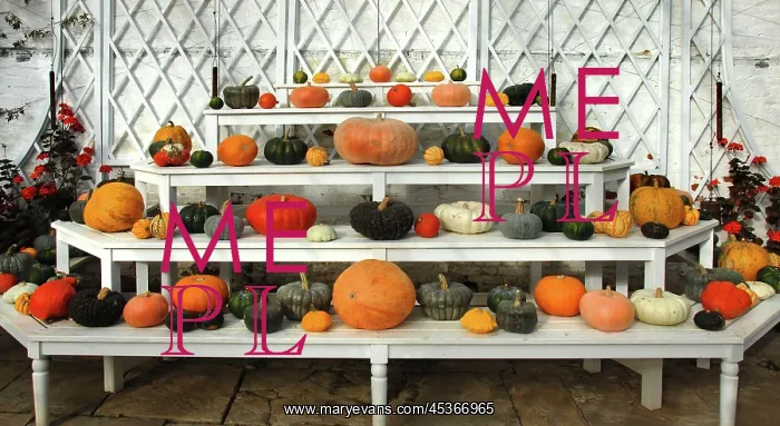 : Pumpkins and squashes DP : Pumpkins and squashes DP