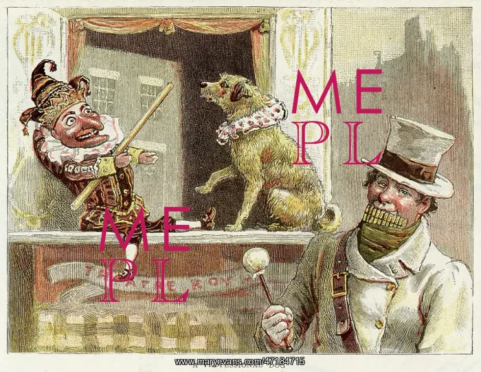 : PUNCH WITH TOBY THE DOG : PUNCH WITH TOBY THE DOG