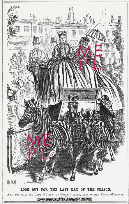 : PUNCH / ZEBRA DRESSES : PUNCH / ZEBRA DRESSES