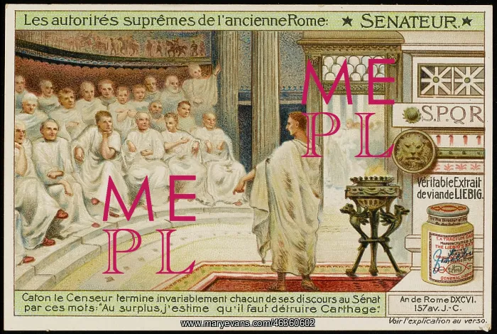 : PUNIC WAR, CATO & SENATE : PUNIC WAR, CATO & SENATE