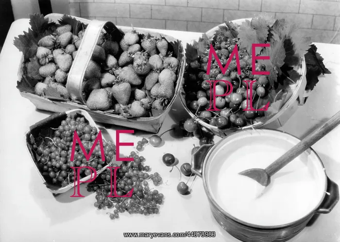 : PUNNETS OF FRUIT : PUNNETS OF FRUIT