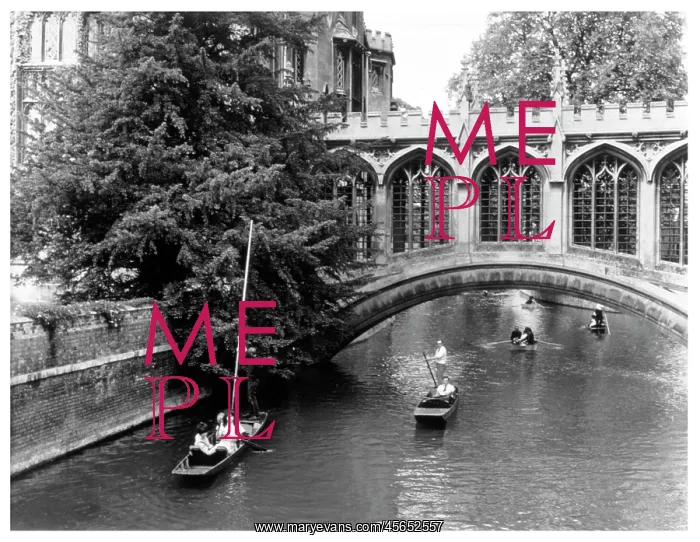 : PUNTING AT CAMBRIDGE 1 : PUNTING AT CAMBRIDGE 1