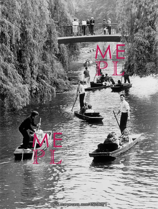 : PUNTING AT CAMBRIDGE 2 : PUNTING AT CAMBRIDGE 2