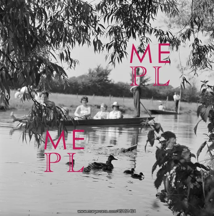 : Punting On The River Cam : Punting On The River Cam