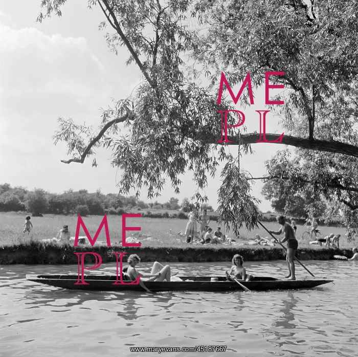 : Punting On The River Cam : Punting On The River Cam