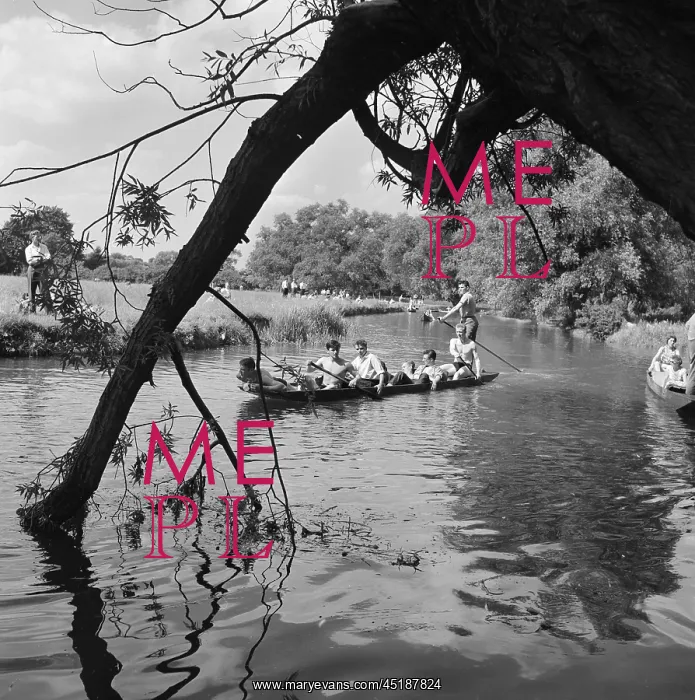 : Punting On The River Cam : Punting On The River Cam