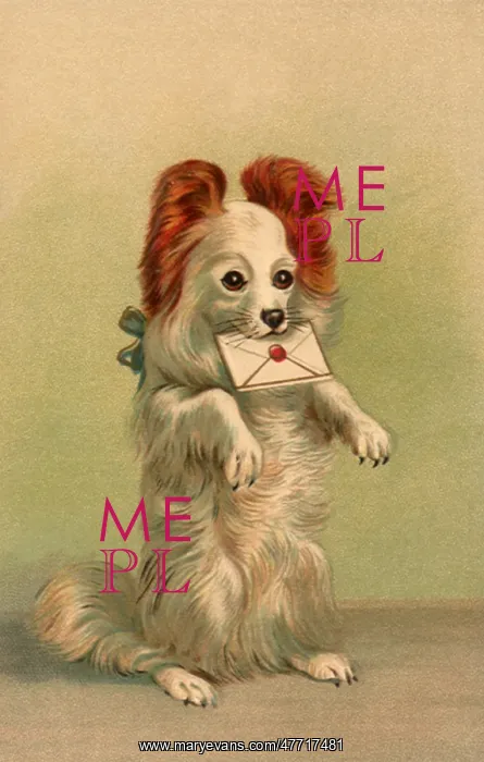  : Pup with Birthday Wishes
