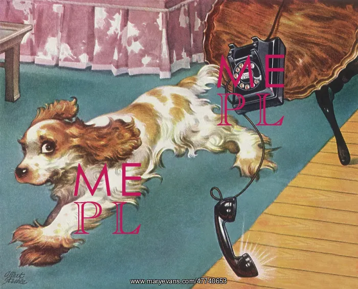  : Pup Upsets Table, Phone