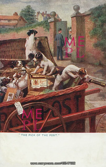 : Puppies attaching the post - Ridways Tea Advertisement : Puppies attaching the post - Ridways Tea Advertisement