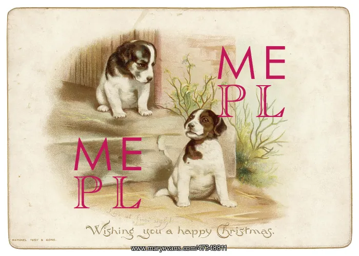: PUPPIES ON A DOORSTEP : PUPPIES ON A DOORSTEP