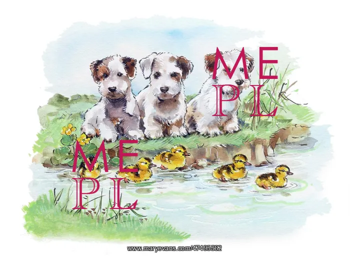 : Three puppies and five ducklings : Three puppies and five ducklings