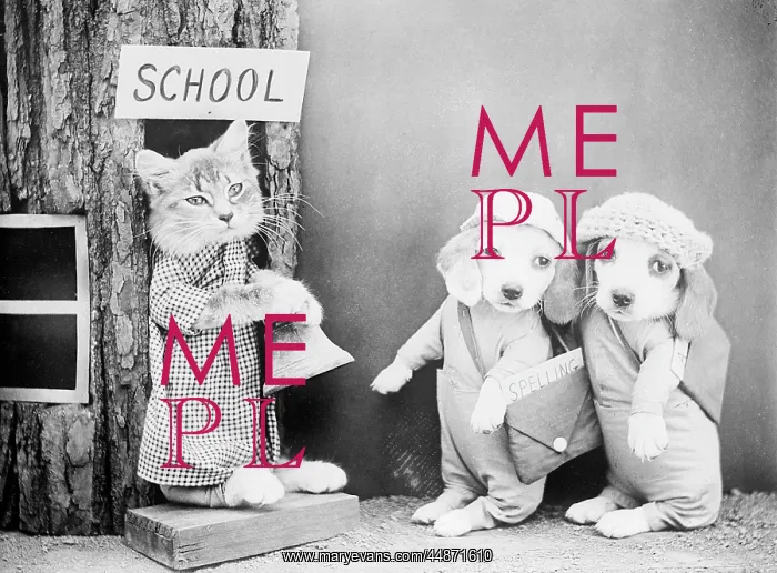 : PUPPIES GOING TO SCHOOL : PUPPIES GOING TO SCHOOL