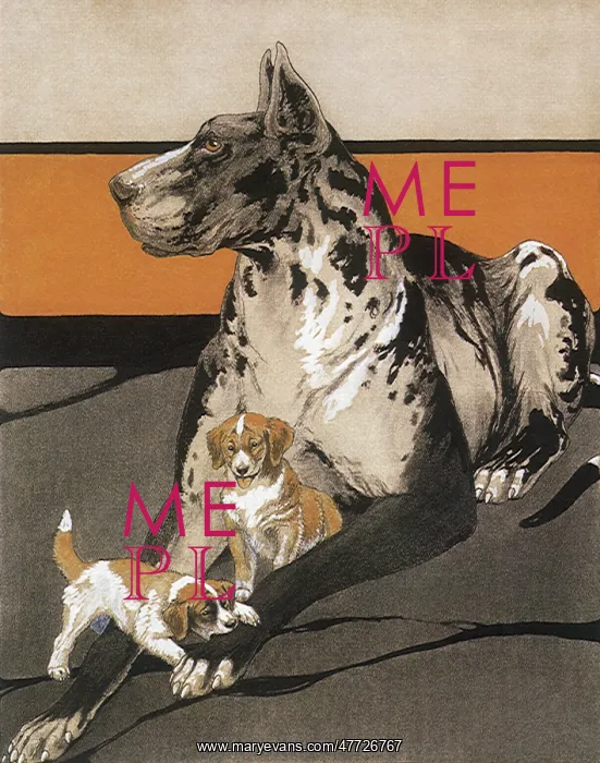 : Puppies and Great Dane : Puppies and Great Dane
