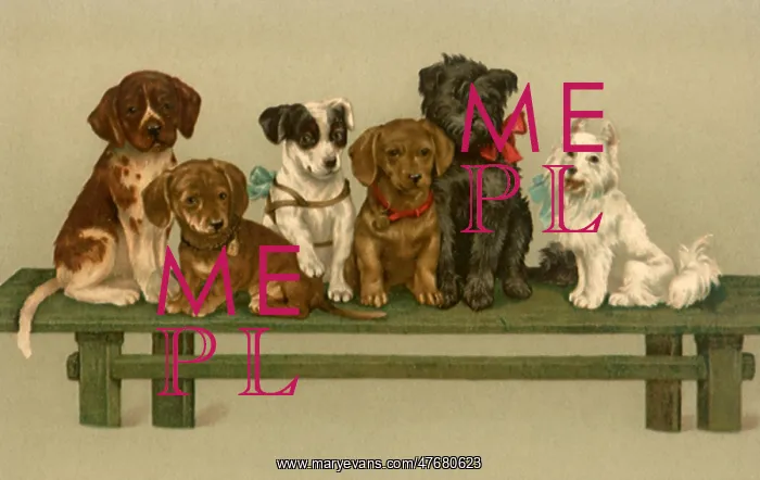  : Puppies on Green Bench