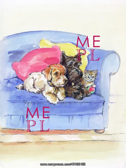  : Two Puppies and a Kitten on a Blue Sofa