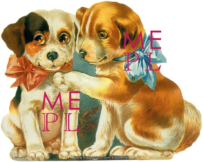  : Two Puppies wearing Bows