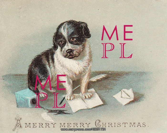 : Puppy on a Christmas card : Puppy on a Christmas card