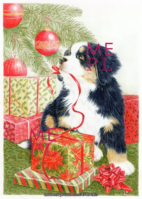  : Puppy Under Christmas Tree