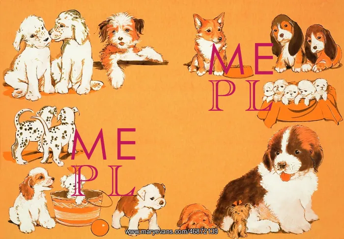  : Puppy dogs