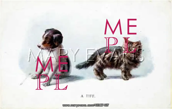  : PUPPY AND KITTEN