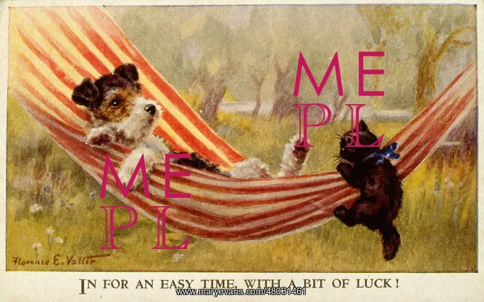 : Puppy and kitten with hammock : Puppy and kitten with hammock