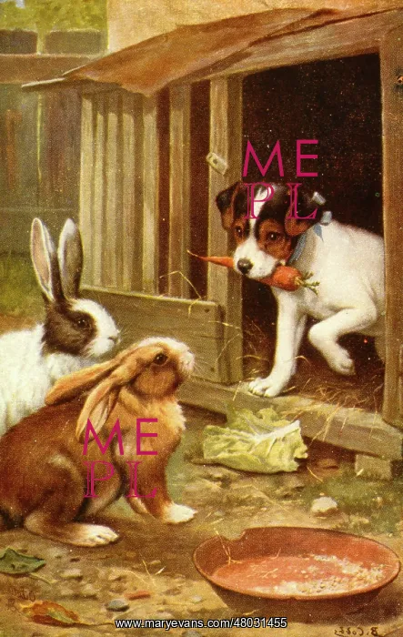  : Puppy and two rabbits