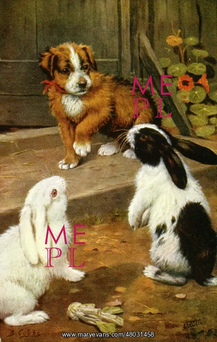  : Puppy and two rabbits
