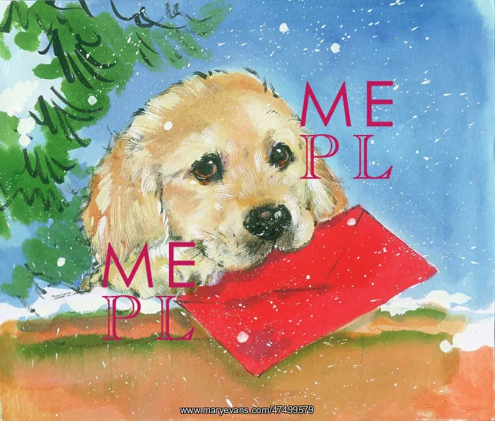  : Puppy with red letter in its mouth
