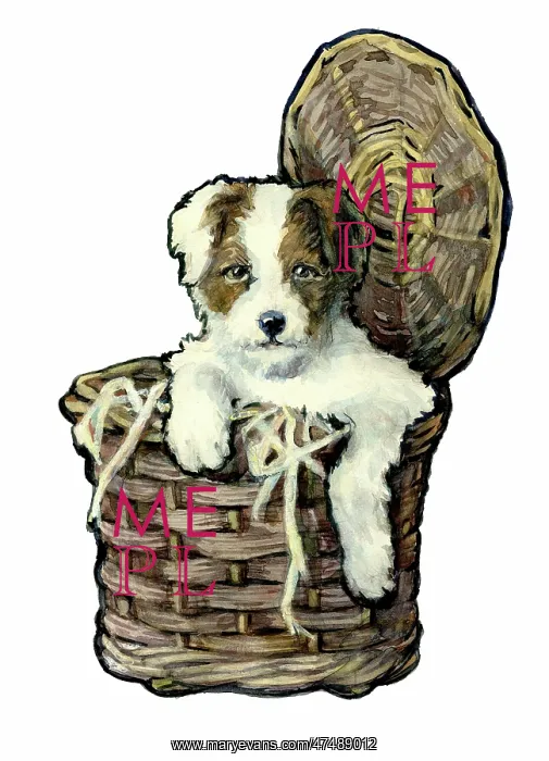  : Puppy in a wicker basket