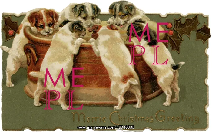 : PUPS ROUND A BRAN TUB : PUPS ROUND A BRAN TUB