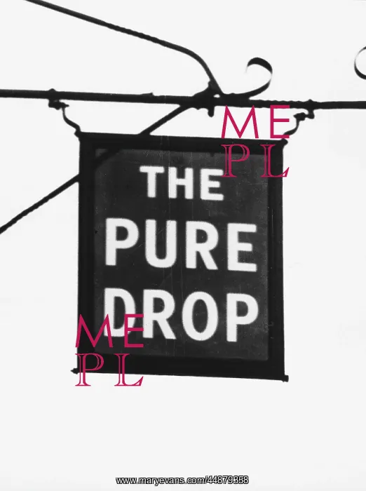 : THE PURE DROP INN