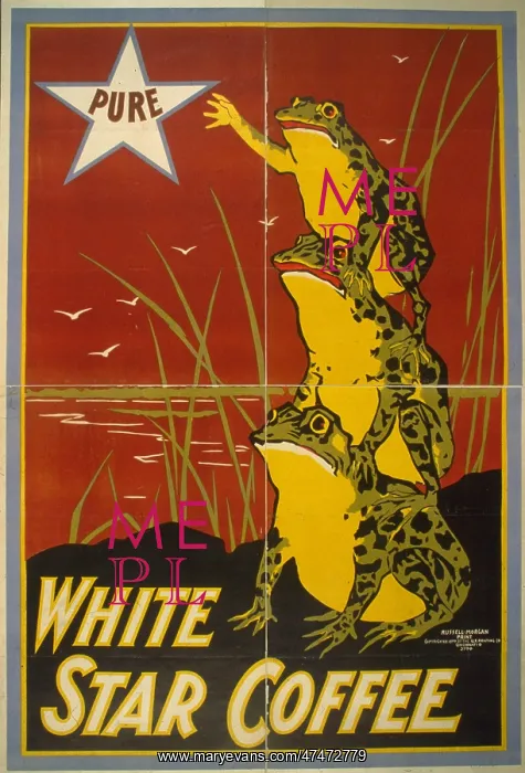 : Pure white star coffee : Pure white star coffee