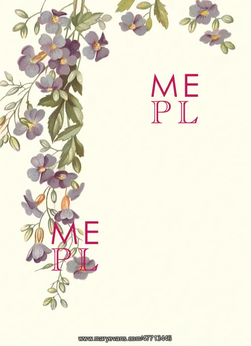  : Purple Flower Border