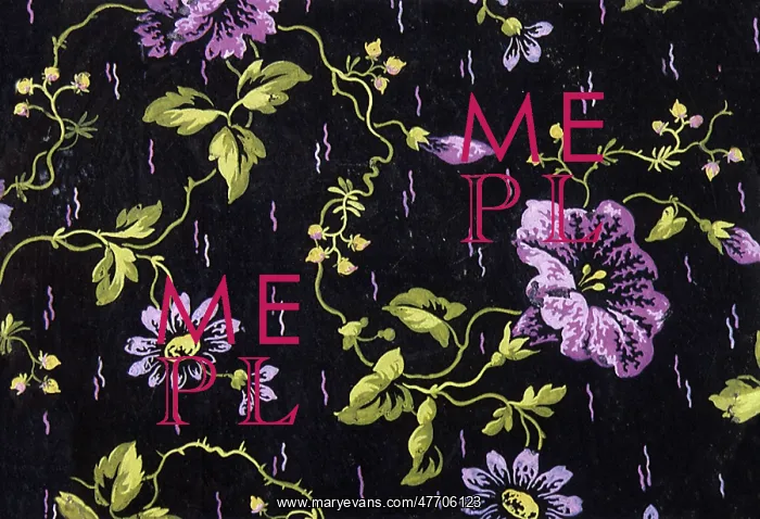 : Purple flowers with stringy green stems on a field of black : Purple flowers with stringy green stems on a field of black