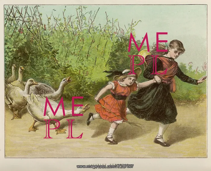 : PURSUED BY GEESE : PURSUED BY GEESE