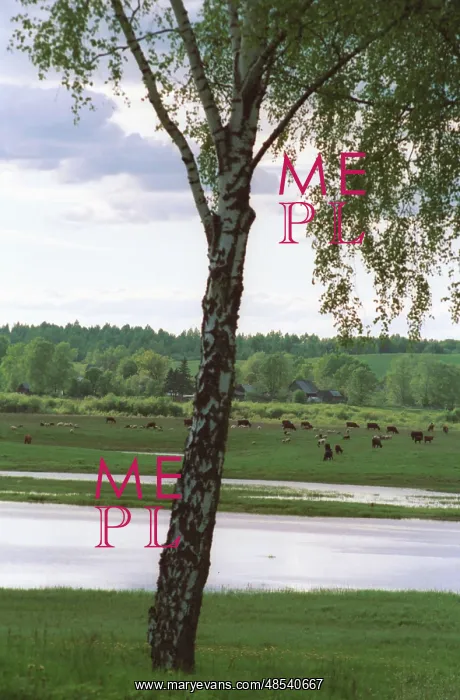 : Pushkin Sights photo art work, 1991 : Pushkin Sights photo art work, 1991