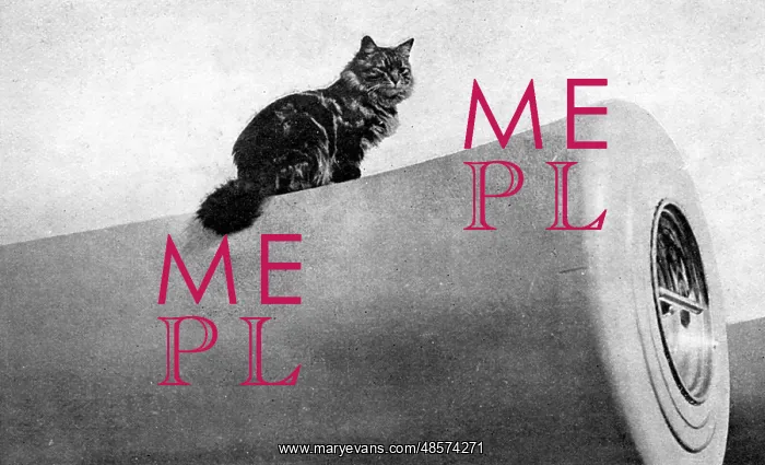  : Puss on a 12-inch gun