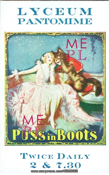 : Puss in Boots : Puss in Boots
