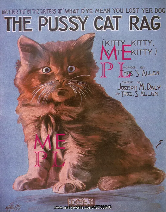  : The Pussy Cat Rag