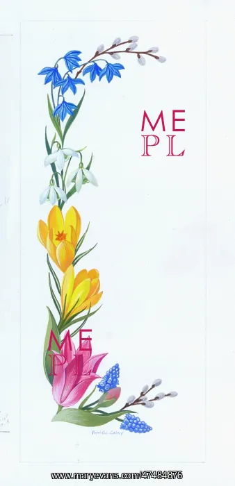  : Pussy willow, scilla, etc