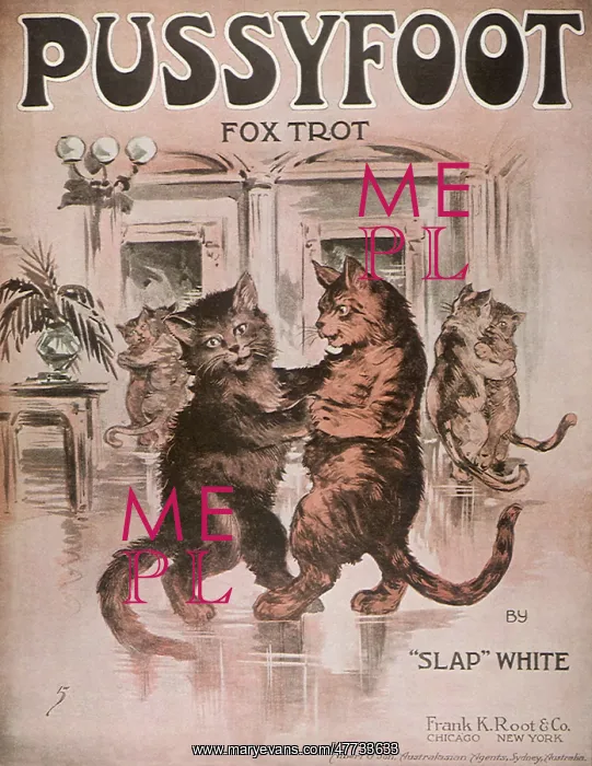  : Pussyfoot Fox Trot