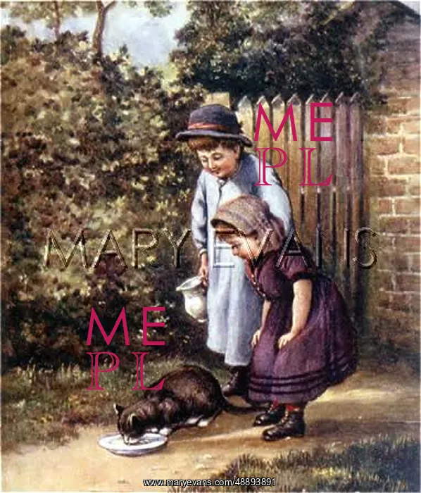  : PUSSY'S BREAKFAST
