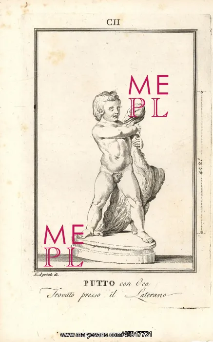 : Putto or cherub with goose : Putto or cherub with goose