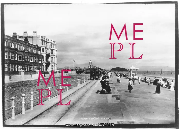  : PWLLHELI - 1893