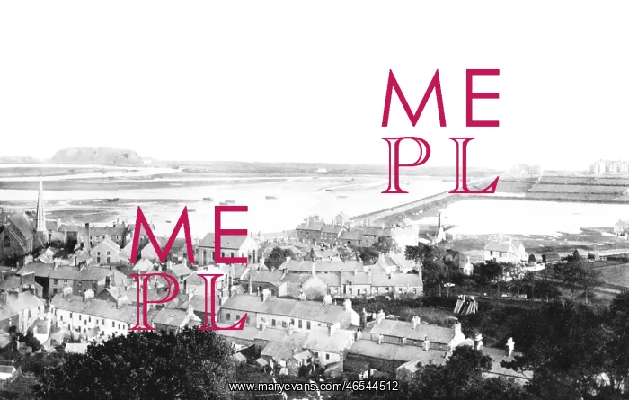  : Pwllheli, General View 1891
