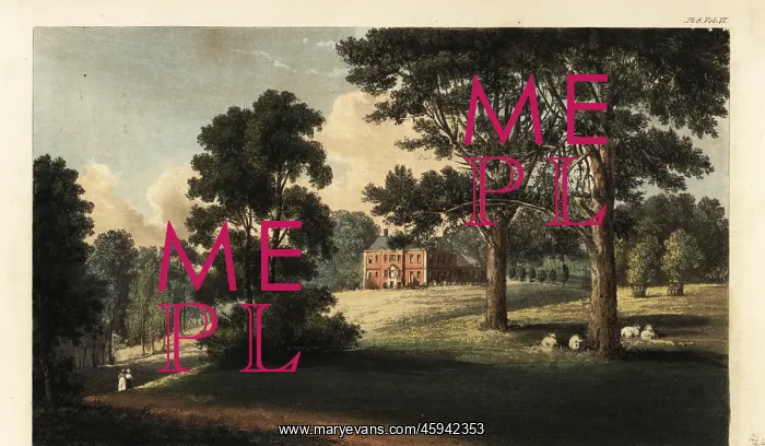  : Pynes House, Exeter, Devon, 1825