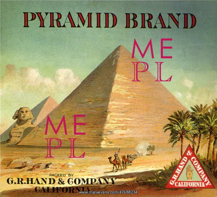  : Pyramid Fruit Label