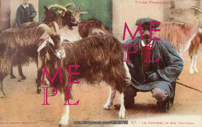 : Pyrenean Goat Shepherd and his Flock : Pyrenean Goat Shepherd and his Flock