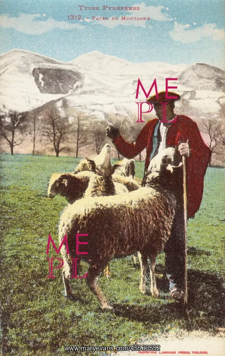 : Pyrenean Shepherd and his flock : Pyrenean Shepherd and his flock