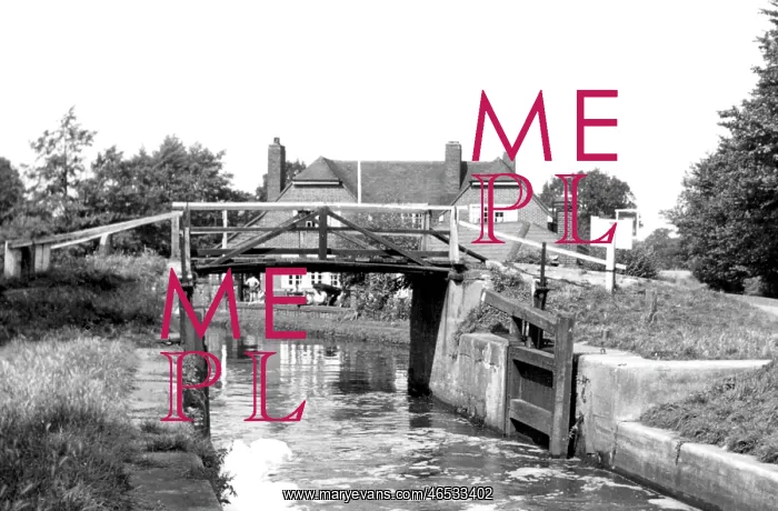  : Pyrford, River Wey c1955